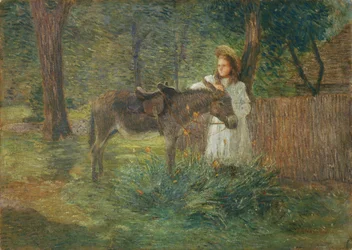 Después del paseo